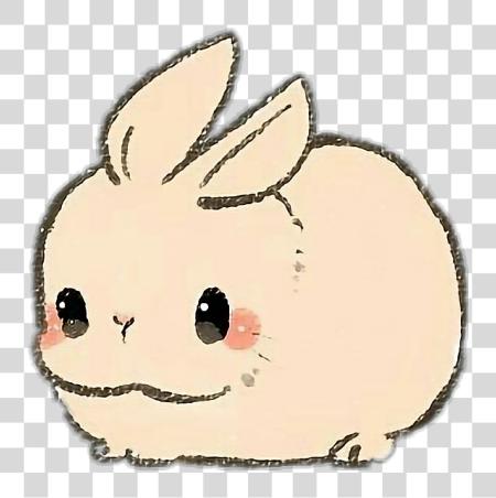 تحميل أرنب Rabit حيوان حيوان أليف Kawaii Cute Kawaii Cute Drawings Of حيوانات بي ان جي ملف