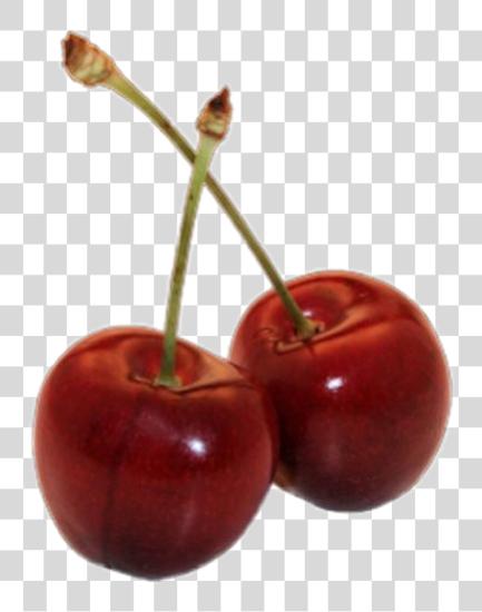 Download cherry cherrys red redaesthetic sticker freetoedit Aesthetic Red Tumblr PNG file