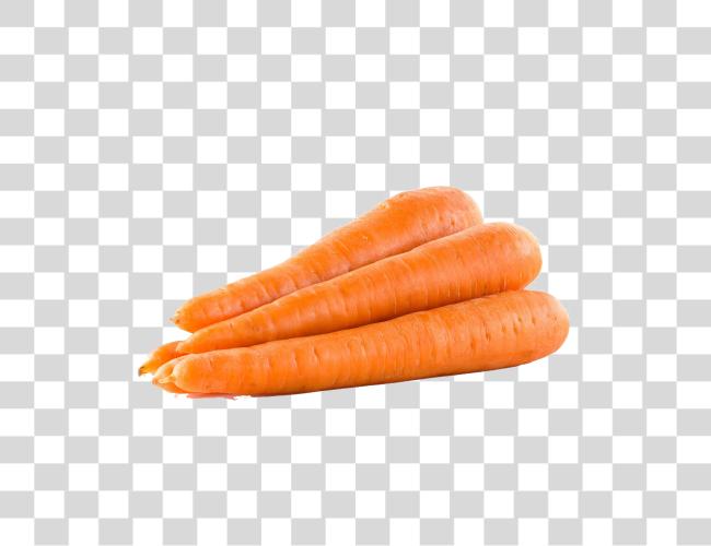 下载 Carrot Pic Carrot Clip 艺术