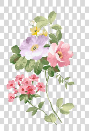 下载 Rosas 复古 Rosas 复古 Flores Acuarela PNG file