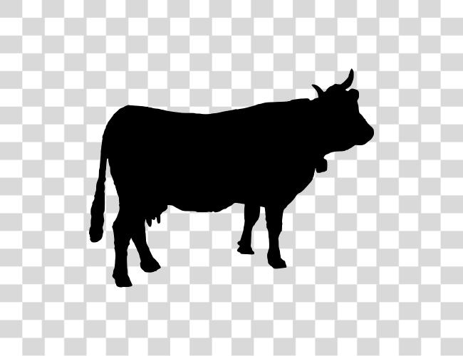 Download Cow Silhouette Cow Vectors Clip Art