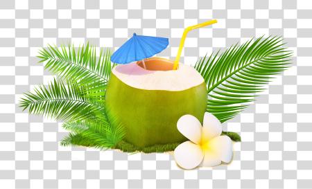 下载 时髦 Coconut Coconut 水 PNG file