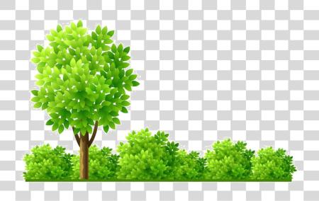 Download Shrub Image Garden PNG file