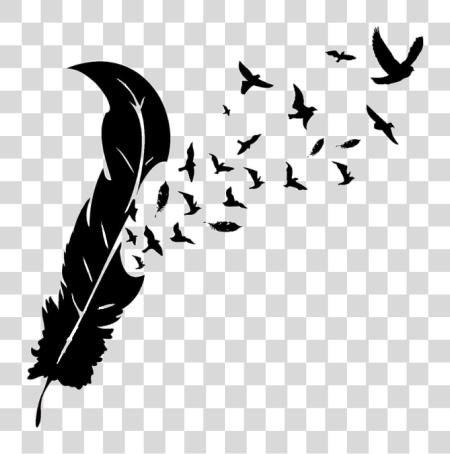 Download Feather With Birds Silhouette Feather To Birds PNG file