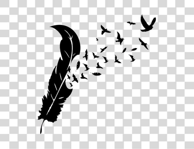 Download Feather With Birds Silhouette Feather To Birds Clip Art