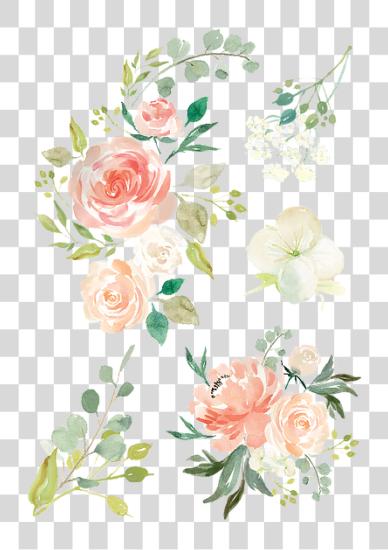 下载 Watercolorflowers 水彩 Flowers PNG file