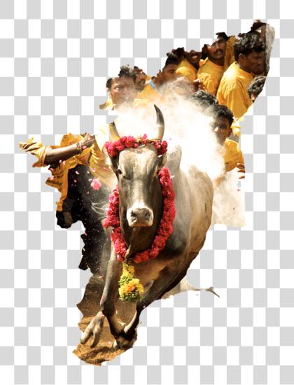 Download Tamilnadu Tamil cultura South Jallikattu Kalai Image PNG file