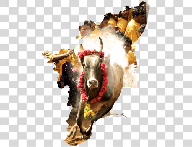 تحميل Tamilnadu Tamil ثقافة South Jallikattu Kalai Image مقطوعة فن