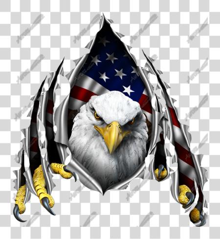 Download Eagle Ripping Through American Flag American Flag Eagle PNG file