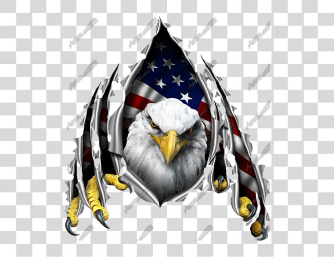 Download Eagle Ripping Through American Flag American Flag Eagle Clip Art