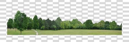 Download Go To Image Line Of Trees PNG file