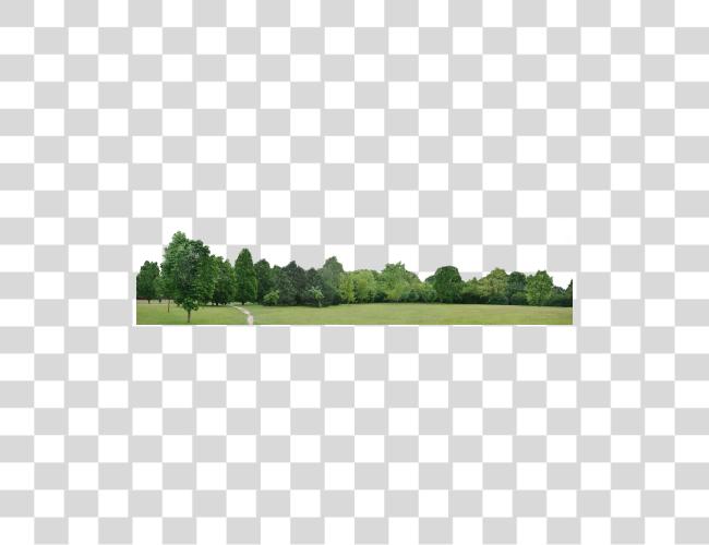 Download Go To Image Line Of Trees Clip Art