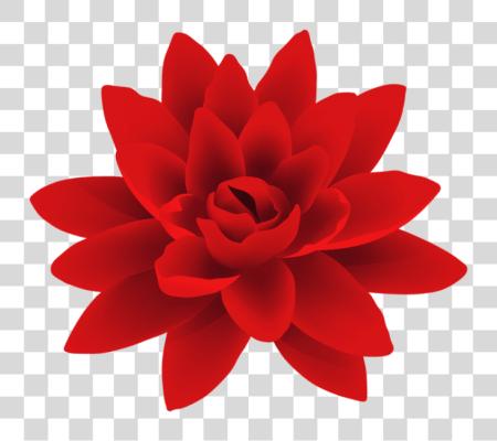 Download Red Flower Deco Flower PNG file