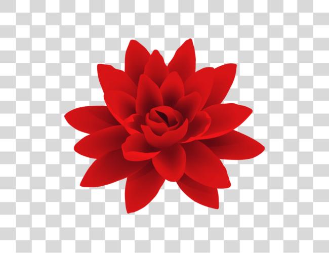 Download rojo flor Deco flor Clip arte