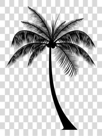 Download Palm Tree Silhouette Real Palm Trees Silhouette PNG file