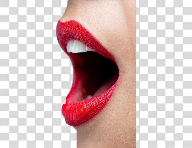 تحميل فم lipstick مفتوح decorate امرأة Womans فم واسع مفتوح مع أحمر Lipstick مقطوعة فن