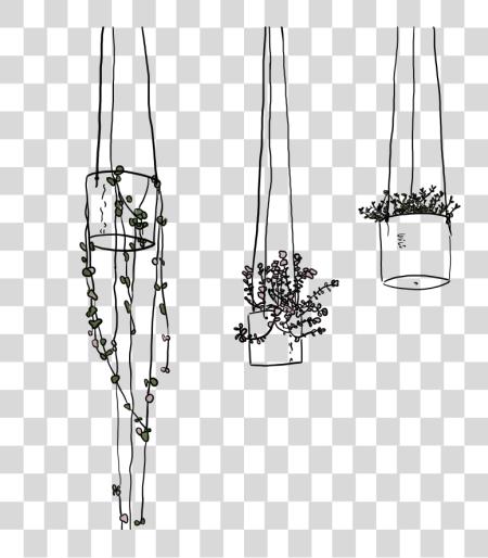 Download Hanging Plants Line Drawing Line PNG file