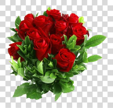 Download Red Rose Beautiful Rose Flowers PNG file