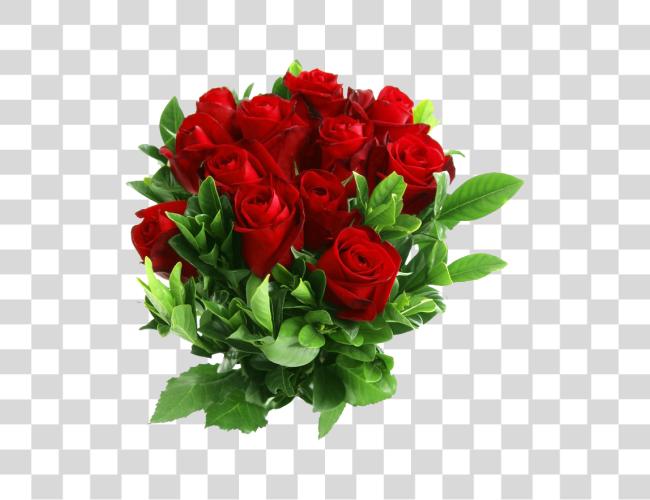 Download Red Rose Beautiful Rose Flowers Clip Art