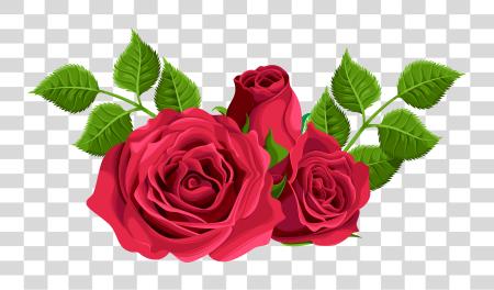 Download Pink Rose PNG file