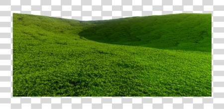 下载 Hill Grass Mound Grass Hill PNG file