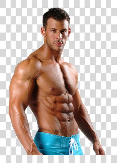 Download Bodybuilding Lean Muscle Body PNG file