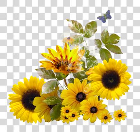 Download Pin By Trisna On Sunflower Sunflower Border PNG file