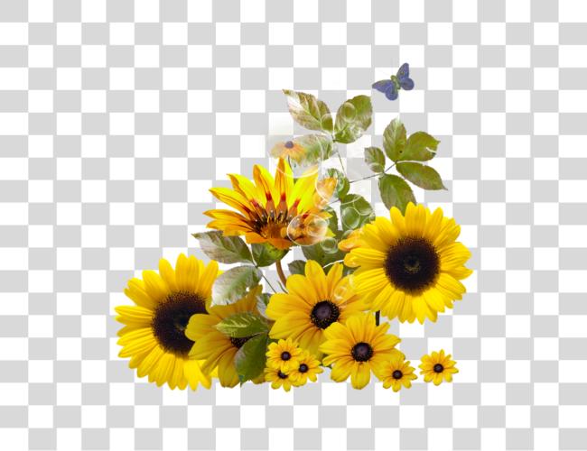 تحميل دبوس بواسطة Trisna على Sunflower Sunflower حدود مقطوعة فن