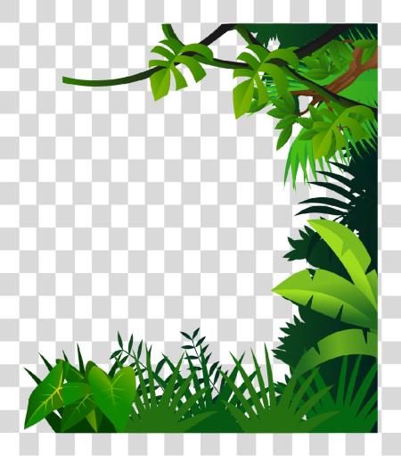 Download Material Border Drawing Jungle Image Jungle Frame PNG file