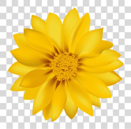 Download Yellow Flower Transpa Flowers PNG file