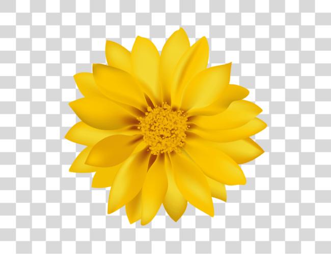 Download Yellow Flower Transpa Flowers Clip Art