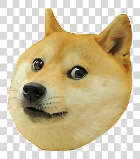 下载 Doge Doggo Freestickers Memes Doggo Meme PNG file