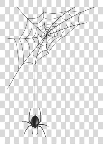 Download Spider Man Web Spider Web Vector PNG file