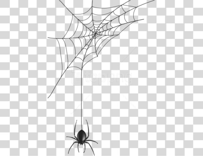 Download Spider Man Web Spider Web Vector Clip Art