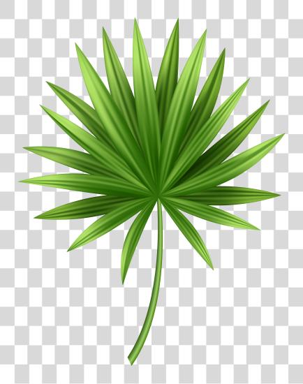 Download Tropical Leaves PNG file