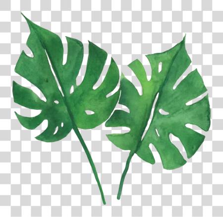 Download Watercolor Tropical Leaves Tutorial PNG file