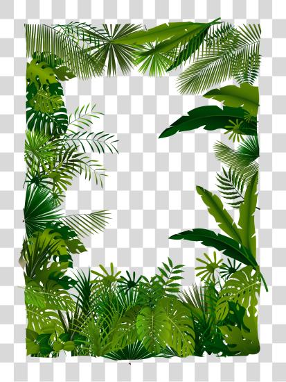 Download Trees Tree Illustration Tropical Euclidean Forest Tropical Forest PNG file