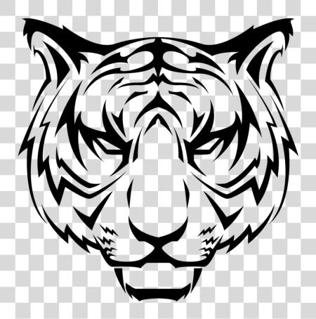 تحميل أبيض Tiger بي ان جي ملف