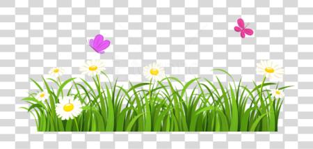 下载 Grass 和 Butterflies 花 PNG file