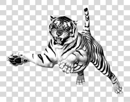 Download saltando Tiger blanco Tiger PNG file