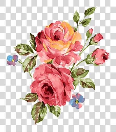 下载 Rosa Oleo Decoupage Pinterest Pintura Aquarela Imagens Painted Flowers Wallpaper PNG file