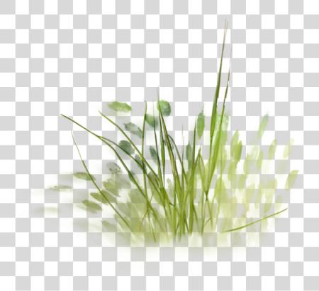 Download pintura Architecture Transprent Grass acuarela PNG file