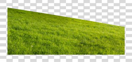 下载 Grass Hill PNG file