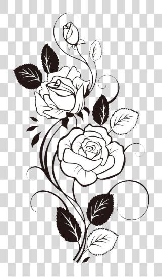 Download Flower Rose Flower Drawing Design PNG file