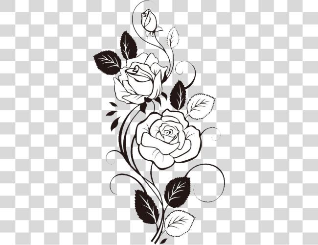 Download Flower Rose Flower Drawing Design Clip Art