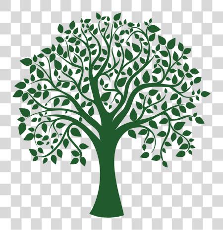 Download Harrina Consulting familia Tree vector PNG file