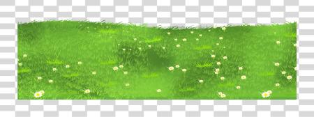 下载 Grass Image Grass 碎肉 PNG file