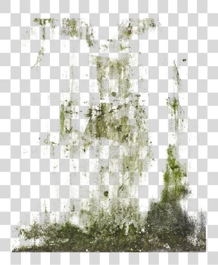 Download Decalbottom0038 1 s Decalbottom0039 1 s Decalsstain0018 Moss Stain PNG file