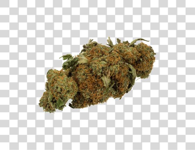 Download Cannabis Background Weed Marijuana Clip Art