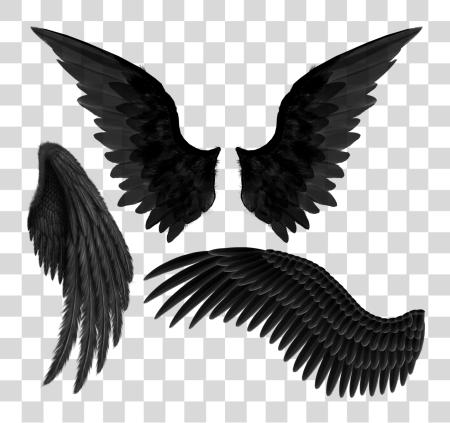 Download Black Angel Wings PNG file